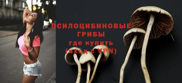 марки lsd Богданович