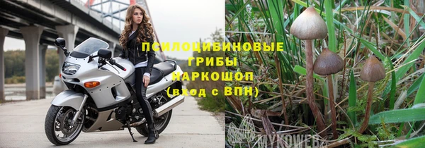 марки lsd Богданович